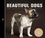 Cover: Beautiful Dogs - Ivy Press