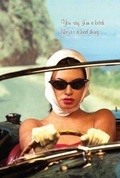 Cover: Glamazon Silk Journal - New Holland Publishers