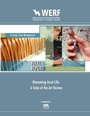 Cover: Remaining Asset Life - IWA Publishing