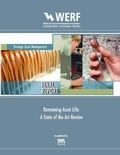 Cover: Remaining Asset Life - IWA Publishing