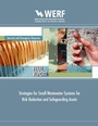Cover: Strategies for Small Wastewater Systems for Risk Reduction and Safeguarding Assets - IWA Publishing