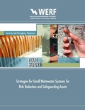 Cover: Strategies for Small Wastewater Systems for Risk Reduction and Safeguarding Assets - IWA Publishing