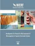 Cover: Development of a Protocol for Risk Assessment of Microorganisms in Separate Stormwater Systems - IWA Publishing