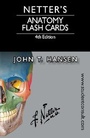 Bild: Netter's Anatomy Flash Cards - Saunders