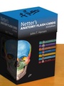 Bild: Netter's Anatomy Flash Cards - Saunders