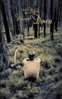 Cover: And the Birds Rained Down - Coach House Books