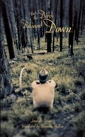 Cover: And the Birds Rained Down - Coach House Books