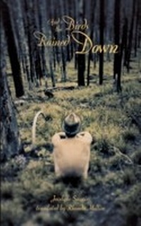 Enlarge image Cover: And the Birds Rained Down - Coach House Books