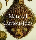 Cover: Natural Curiousities - Parkstone Press Ltd