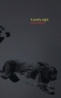 Cover: Pretty Sight - Coach House Books