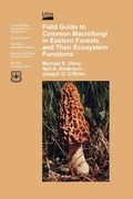 Cover: Field Guide to Common Macrofungi in Eastern Forests and Their Ecosystem Function - www.Militarybookshop.Co.UK
