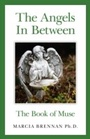 Cover: Angels In Between - Axis Mundi Books