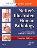 Cover: Netter's Illustrated Human Pathology Updated Edition - Saunders