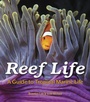 Cover: Reef Life: A Guide to Tropical Marine Life - Firefly Books Ltd