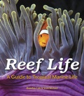 Cover: Reef Life: A Guide to Tropical Marine Life - Firefly Books Ltd