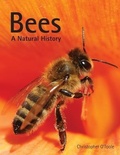 Cover: Bees: A Natural History - Firefly Books Ltd