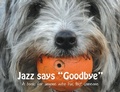 Cover: Jazz says Goodbye - Keyhole Books