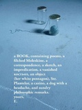 Cover: The Unmemntioable - House of Anansi Press Ltd ,Canada