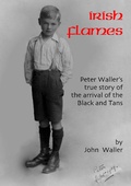 Cover: Irish Flames - Yiannis Books