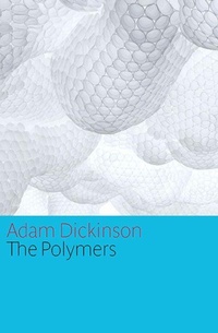 Enlarge image Cover: The Polymers - House of Anansi Press Ltd ,Canada