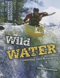 Cover: Wild Water - Saunders