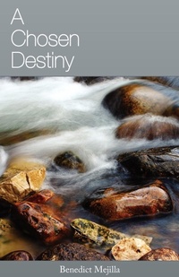Abbildung von: A Chosen Destiny - FriesenPress