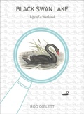 Cover: Black Swan Lake - Intellect Books