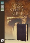 Cover: NASB Zondervan Study Bible - Zondervan