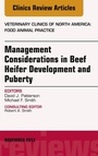 Cover: Beef Heifer Development, An Issue of Veterinary Clinics: Food Animal Practice - Elsevier
