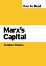 Cover: How to Read Marx's Capital - Pluto Press