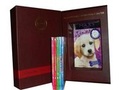 Cover: Battersea Dogs & Cats Home Books Collection: Max's Story, Chester's Story, Bailey's Story, Rusty's Story, Daisy's Story, Misty's Story - Books Events - Special Repackaged Edition