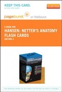 Bild: Netter's Anatomy Flash Cards Elsevier eBook on VitalSource (Retail Access Card) - Saunders