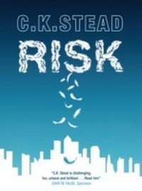 Enlarge image Cover: Risk - MacLehose Press