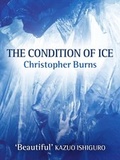 Cover: The Condition of Ice - Quercus Publishing