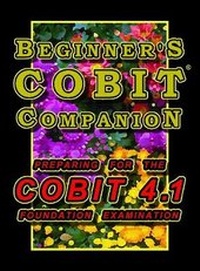 Abbildung von: Beginner's COBIT Companion: Preparing for the COBIT 4.1 Foundation Examination - Matador