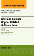 Cover: Gout and Calcium Crystal Related Arthropathies, An Issue of Rheumatic Disease Clinics: Volume 40-2 - Elsevier