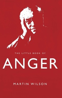 Enlarge image Cover: The Little Book of Anger - Matador
