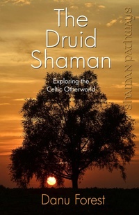 Abbildung von: Shaman Pathways - the Druid Shaman - Moon Books