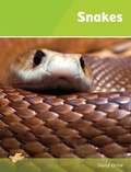 Cover: Snakes - Ransom Publishing