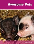 Cover: Awesome Pets - Ransom Publishing