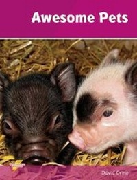 Enlarge image Cover: Awesome Pets - Ransom Publishing