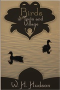 Cover: Birds in Town and Village - Andrews UK