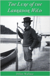 Enlarge image Cover: Lure of the Labrador Wild - Andrews UK