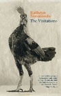 Cover: The Visitations - Seren