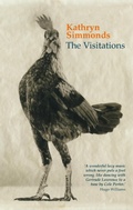 Cover: The Visitations - Seren