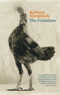Enlarge image Cover: The Visitations - Seren