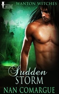 Cover: Sudden Storm - Entwined Publishing