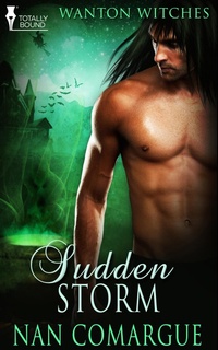 Enlarge image Cover: Sudden Storm - Entwined Publishing
