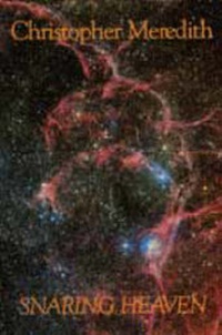 Enlarge image Cover: Snaring Heaven - Seren