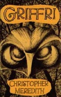 Cover: Griffri - Seren